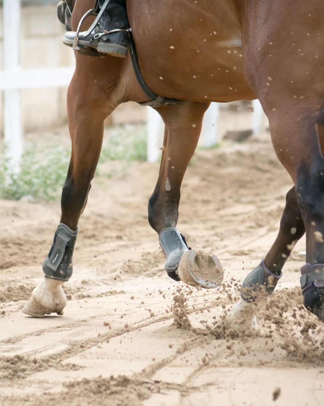 sports medicine image