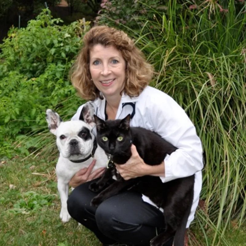 Dr. Margaret Farnon Dr. Margaret Farnon