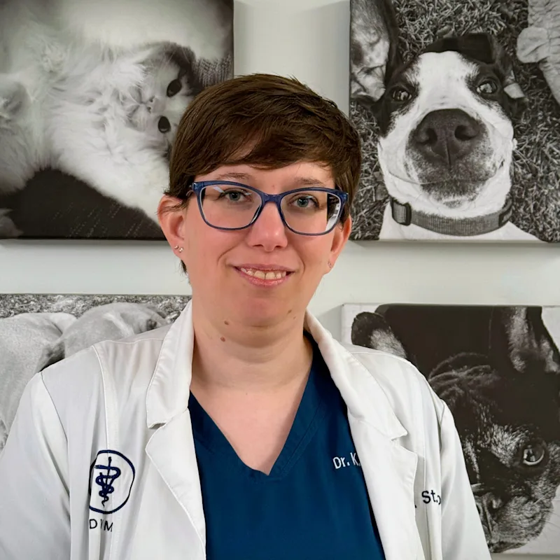 Dr. Kate St. John Dr. Kate St. John