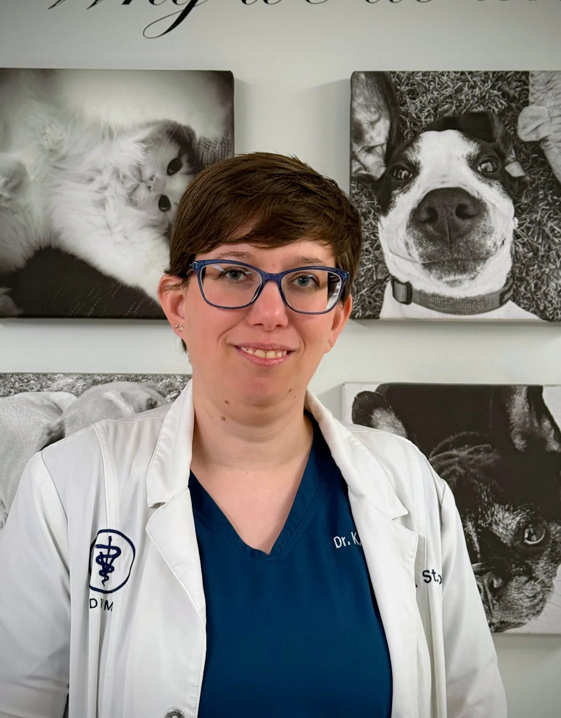 Dr. Kate St. John Dr. Kate St. John