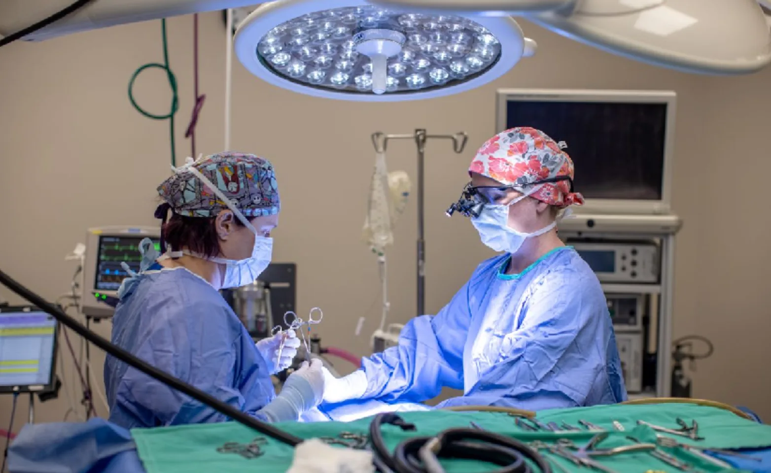 Veterinarians working on a operating table Veterinarians working on a operating table