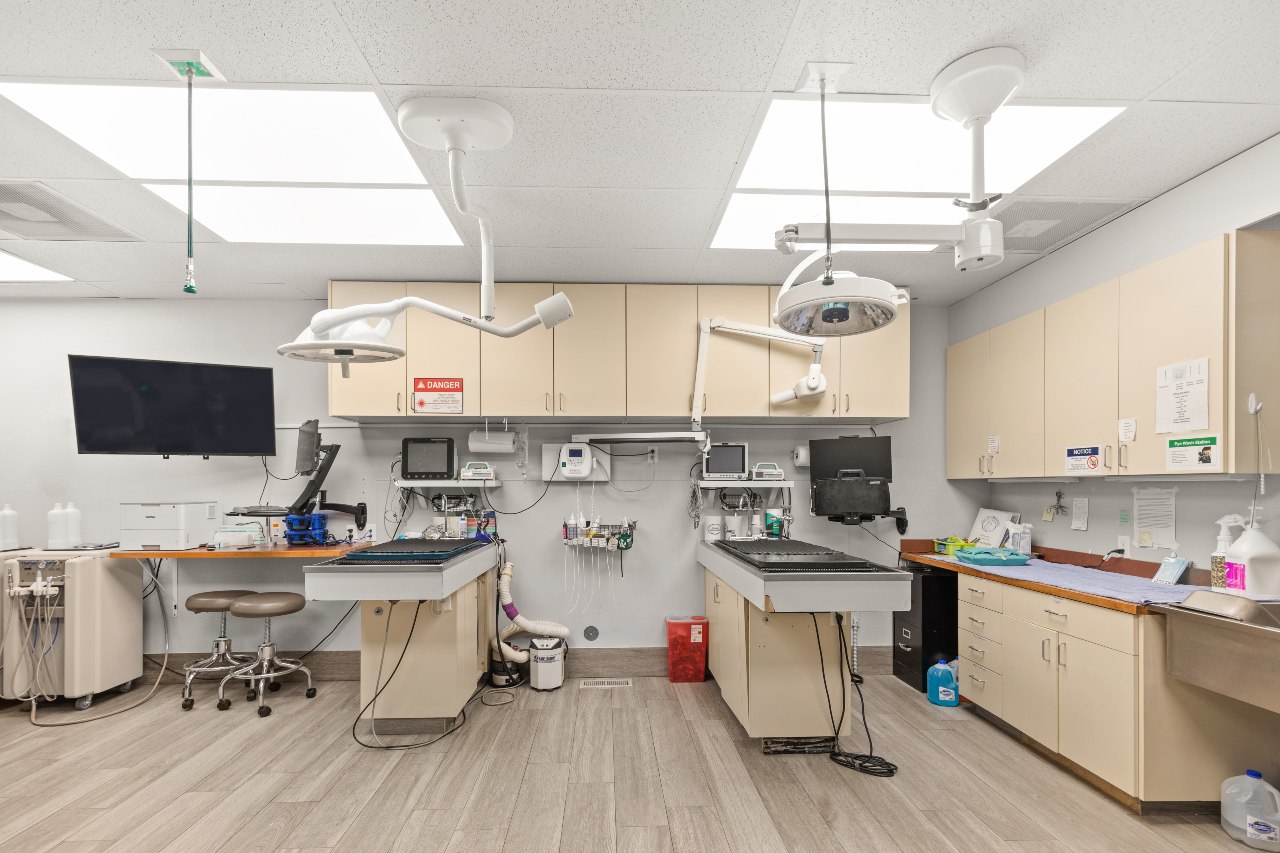 Dental suite at All Pet Complex Veterinary Hospital.