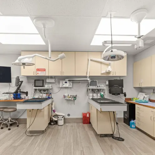 Dental suite at All Pet Complex Veterinary Hospital.