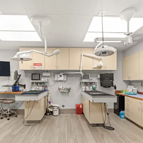 Dental suite at All Pet Complex Veterinary Hospital. Dental suite at All Pet Complex Veterinary Hospital.