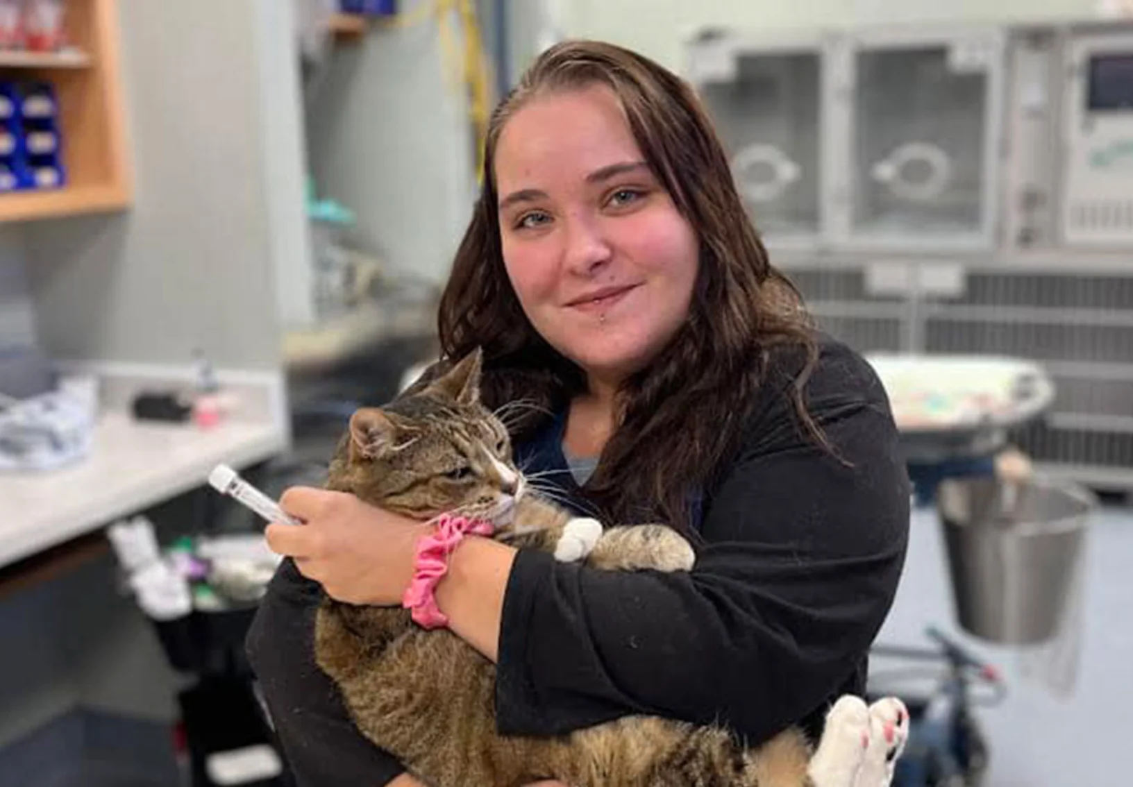 Staff member holding a brown cat