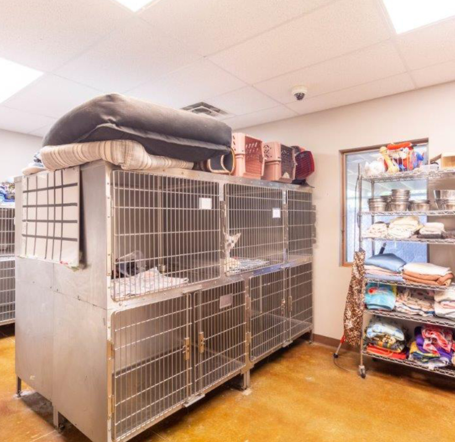 A photo of the kennel area at Dunes Animal Hospital