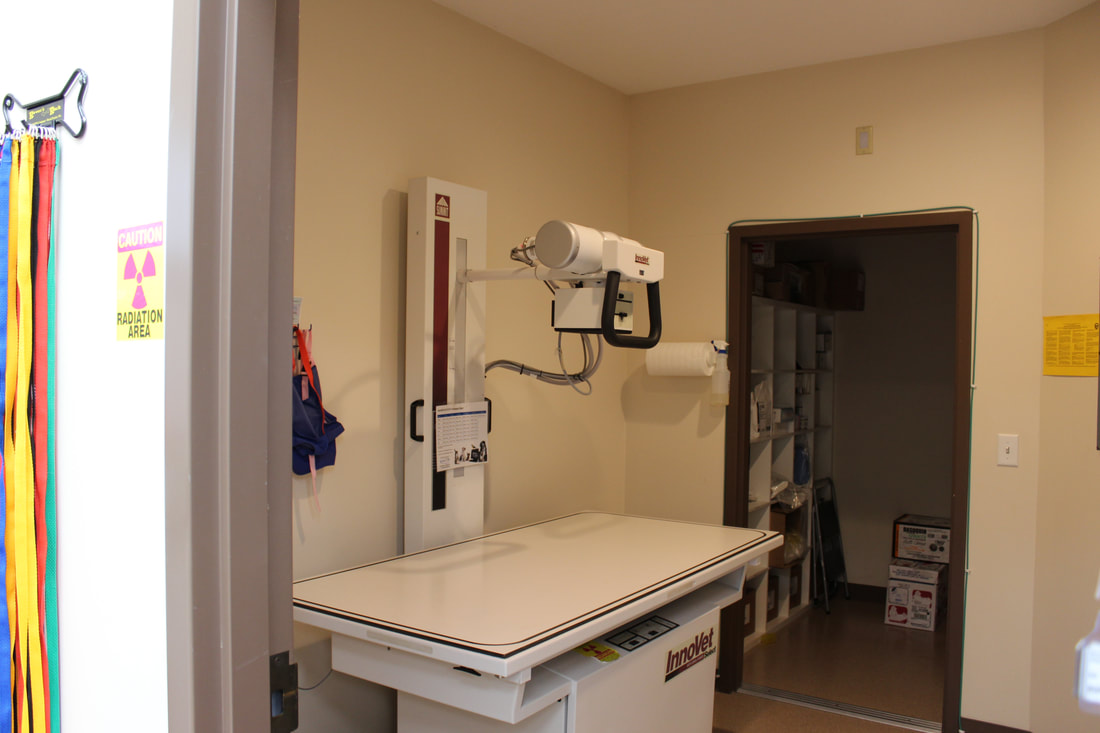 Digital X-Ray machine 