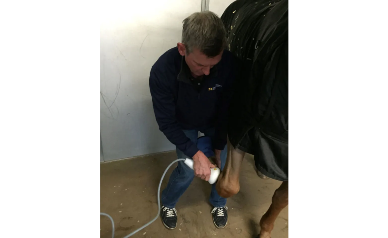A Veterinarian Performing Shockwave Therapy on a Horse at Bayhill Equine