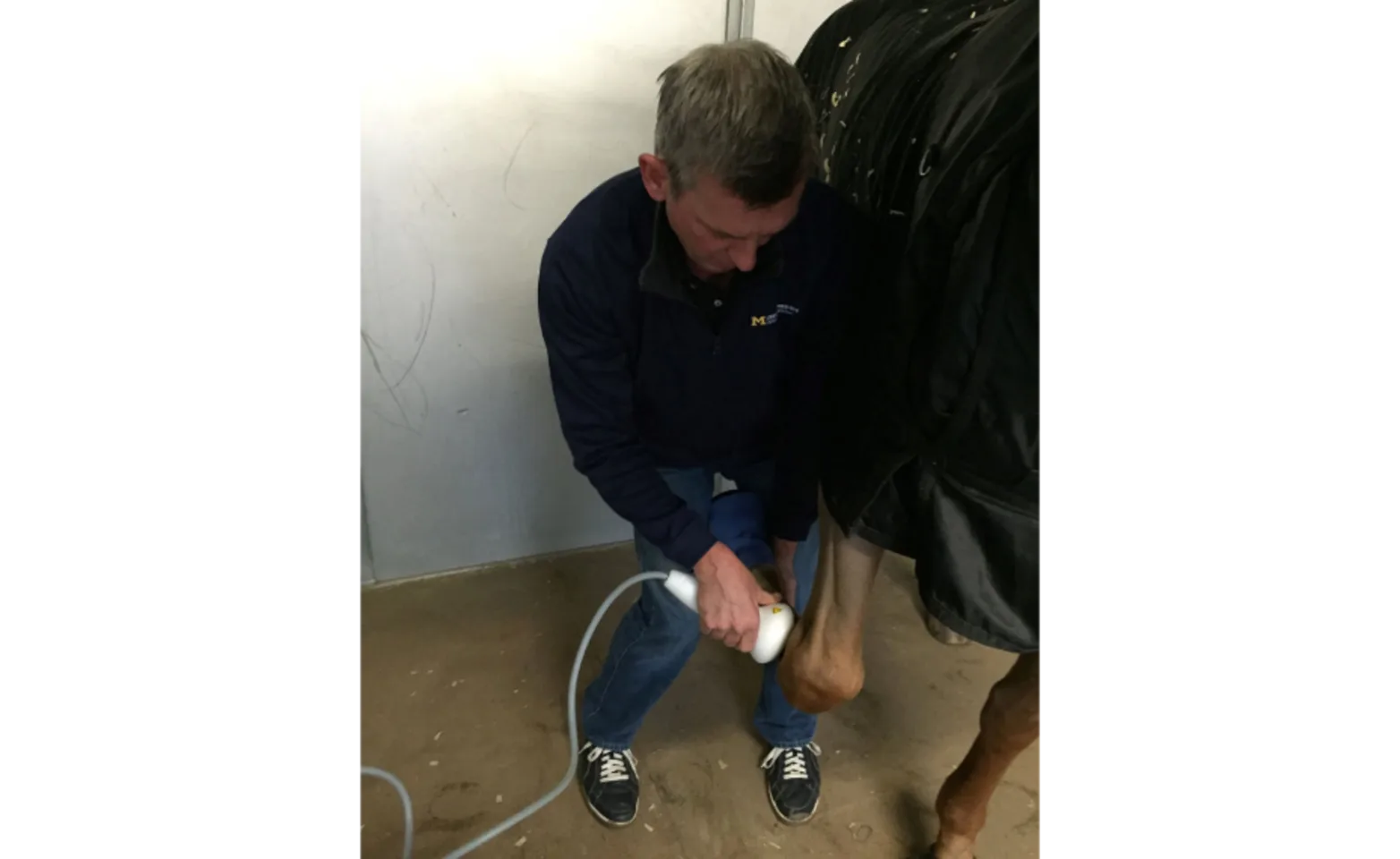 A Veterinarian Performing Shockwave Therapy on a Horse at Bayhill Equine A Veterinarian Performing Shockwave Therapy on a Horse at Bayhill Equine