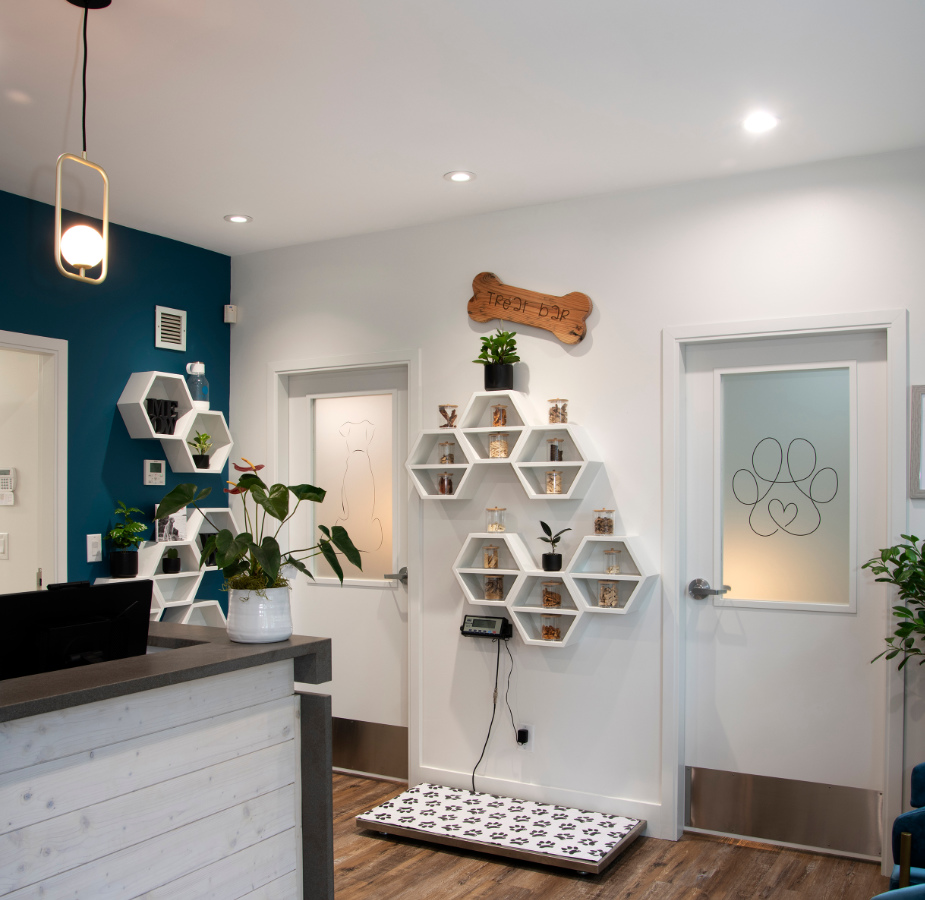 Weigh station and treat bar in lobby area