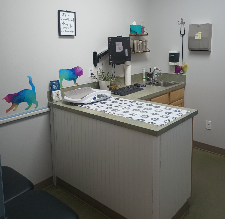 Updated exam room with examination table and colorful animal stickers