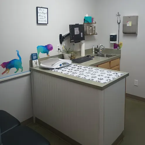 Updated exam room with examination table and colorful animal stickers Updated exam room with examination table and colorful animal stickers