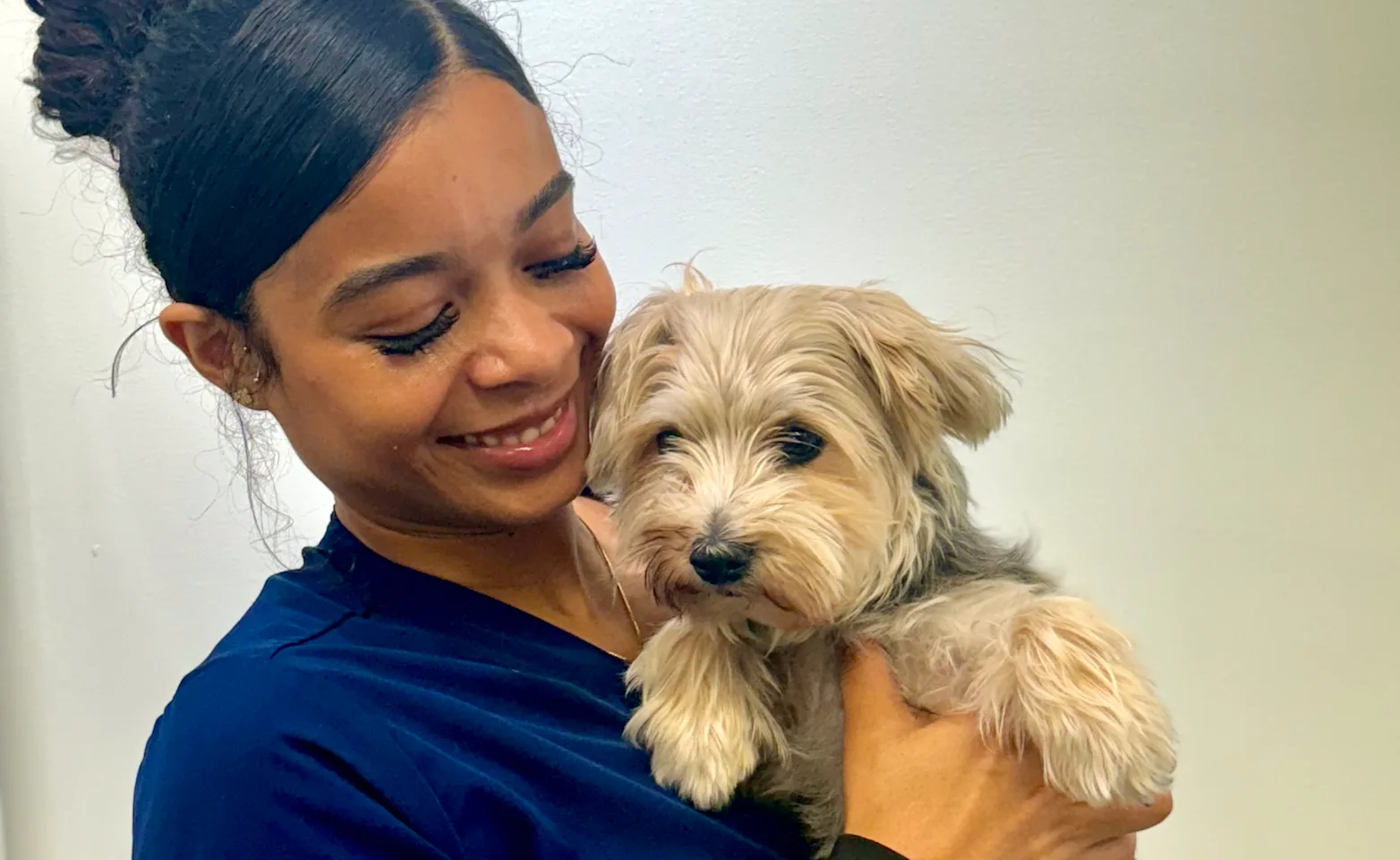 Vet holding cat Vet holding cat
