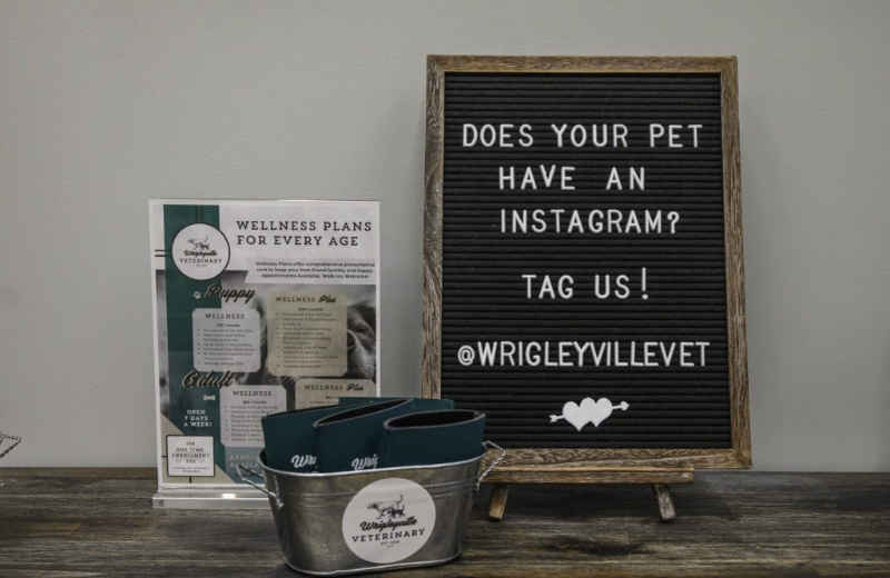 Instagram Promo Sign