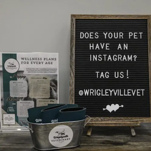 Instagram Promo Sign Instagram Promo Sign