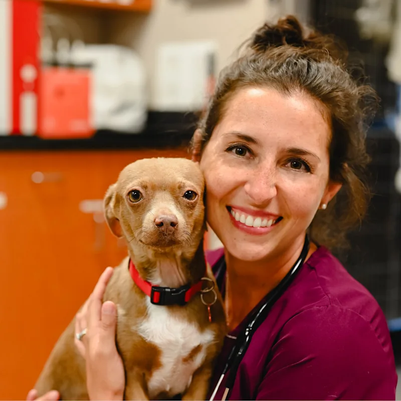 Dr. Beth Achille Dr. Beth Achille