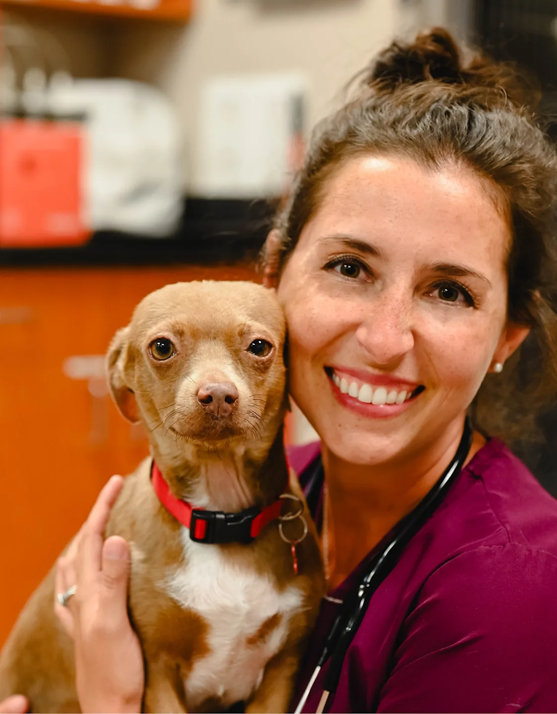 Dr. Beth Achille Dr. Beth Achille