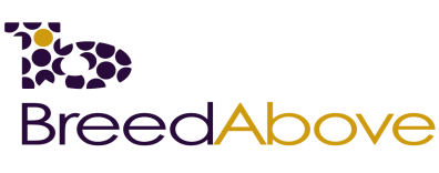BreedAbove Logo BreedAbove Logo