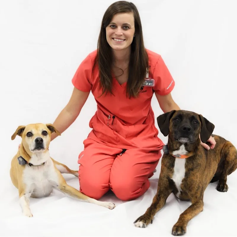 Dr. Shelby Curbow Dr. Shelby Curbow