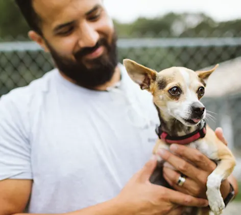 Staff holding dog Staff holding dog
