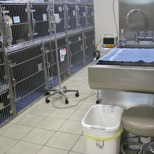 Treatment Area Treatment Area