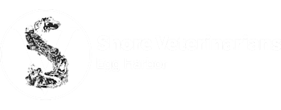 Shore Veterinarians – Egg Harbor Logo Shore Veterinarians – Egg Harbor Logo