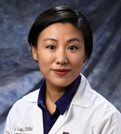 Vivian W. Lau Vivian W. Lau