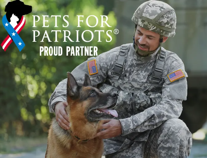 Military man with dog for pets for patriots