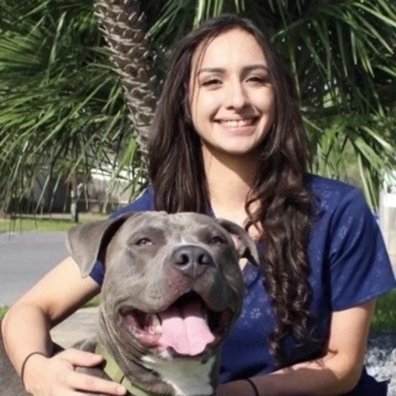 Melissa Banderas of North 10th Street Animal Hospital Melissa Banderas of North 10th Street Animal Hospital