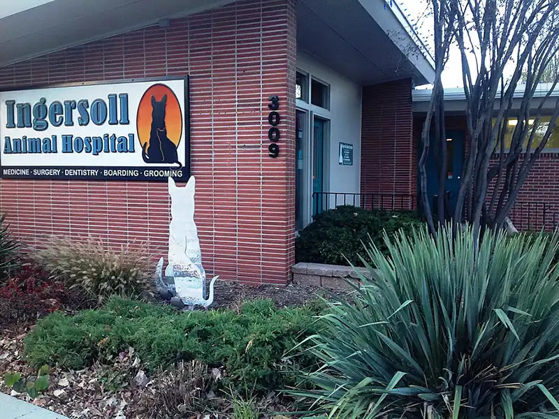 Exterior view of Ingersoll Animal Hospital
