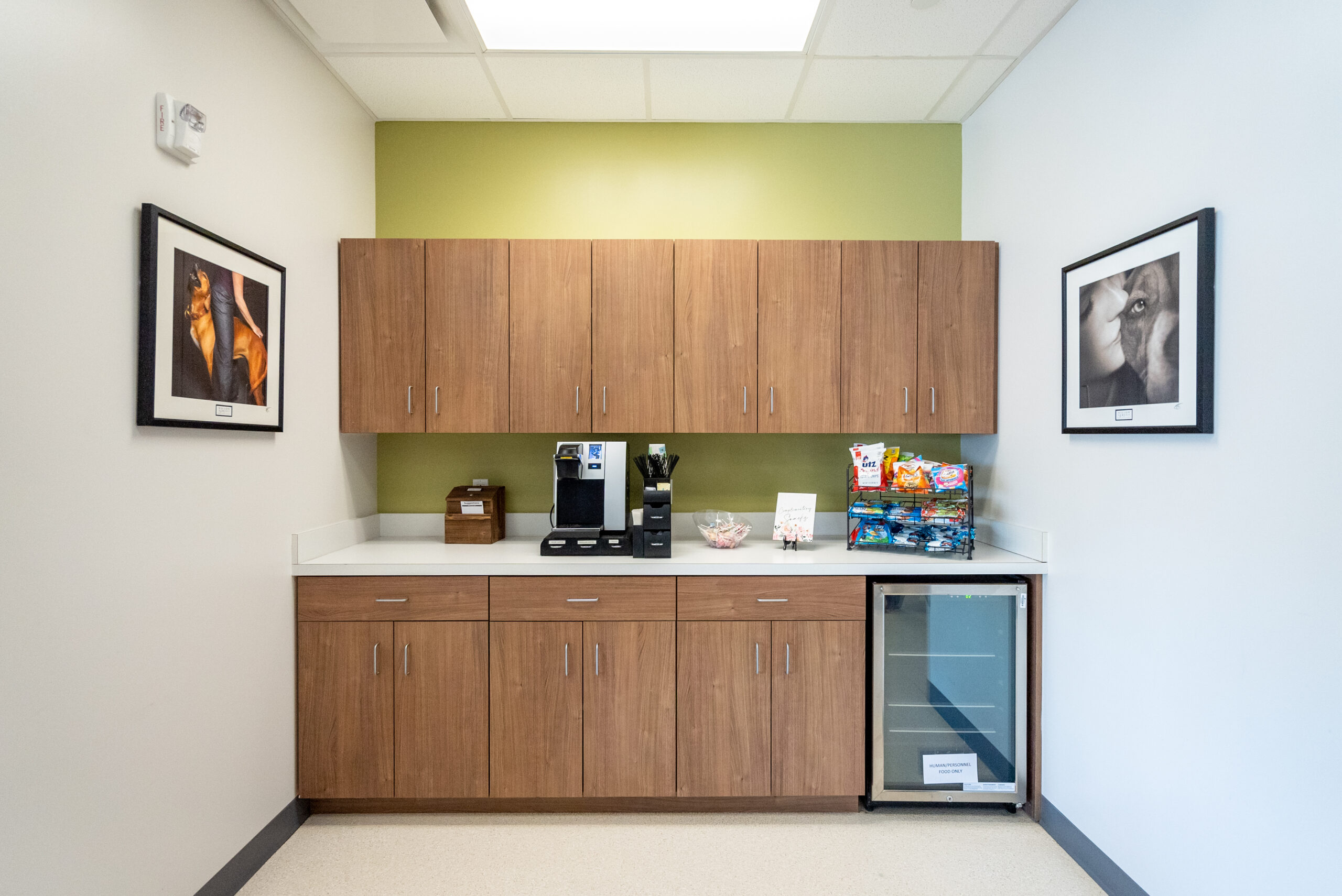 Red Bank Veterinary Hospital Hillsborough facility