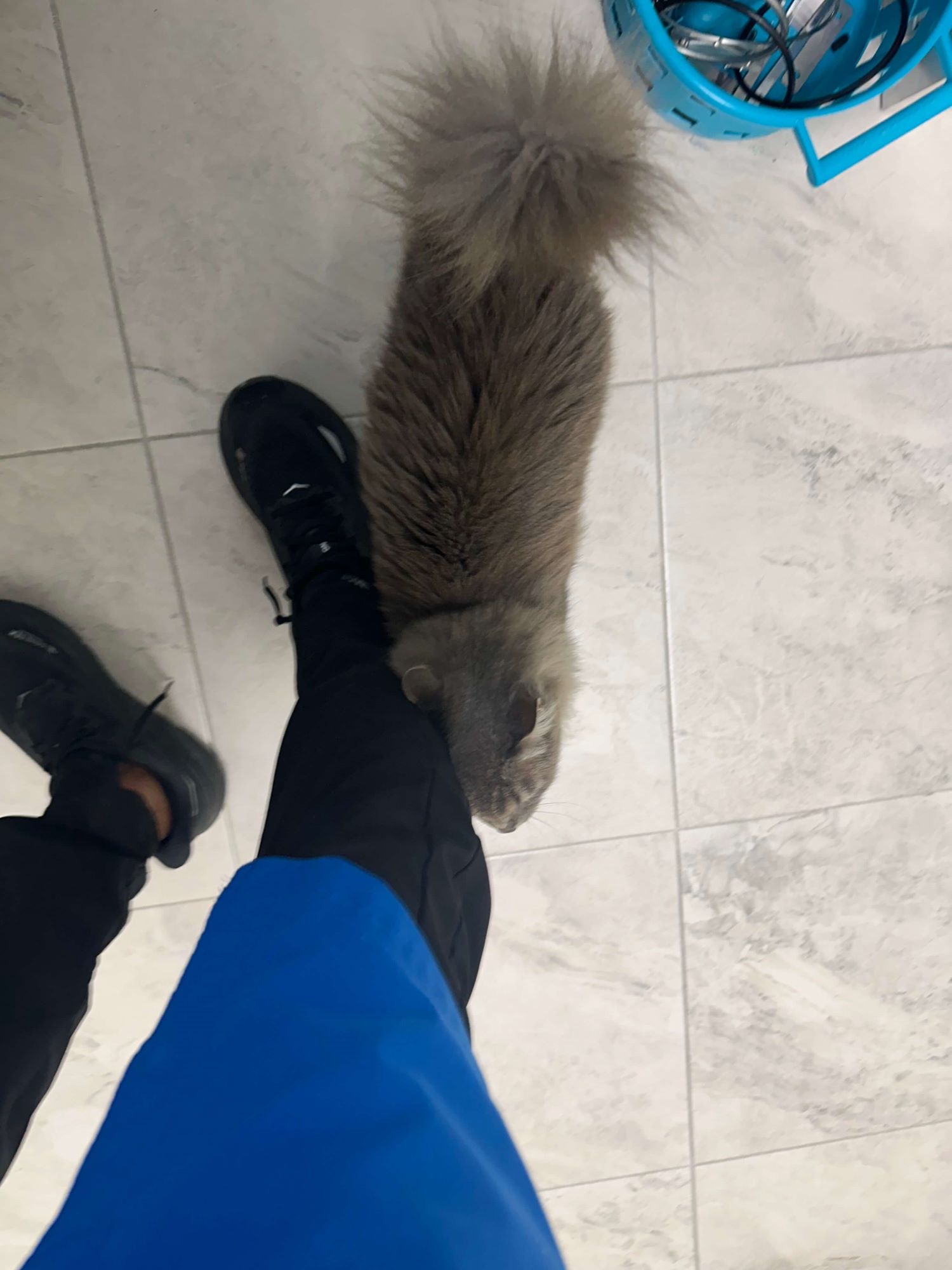 Annabella Being Affectionate