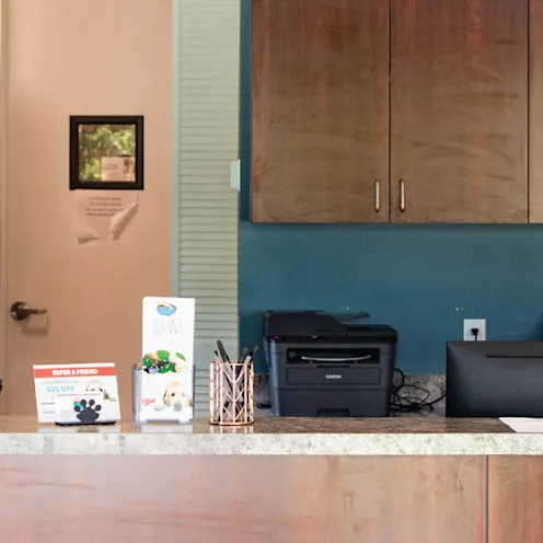 Receptionist and Dog at Desk Receptionist and Dog at Desk