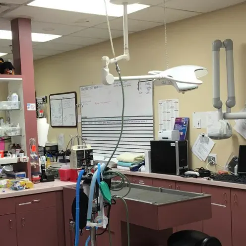 Holladay Veterinary Hospital Treatment Area