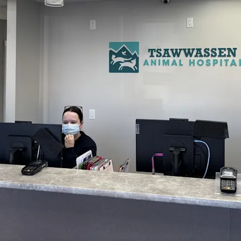 Receptionist Desk Receptionist Desk