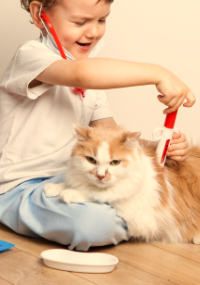 A child pretending to vaccinate a cat