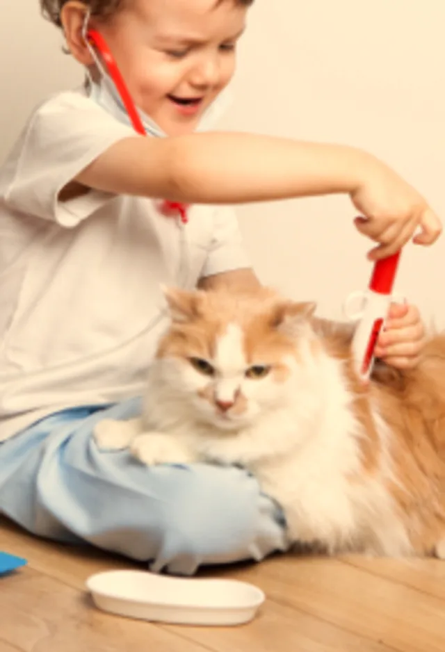 A child pretending to vaccinate a cat