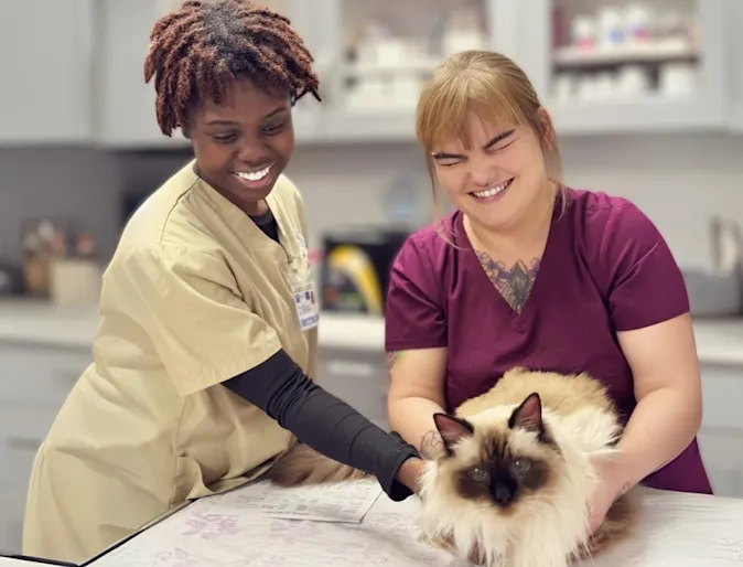 Eight quotes to help you get through the toughest days Eight quotes to help you get through the toughest days