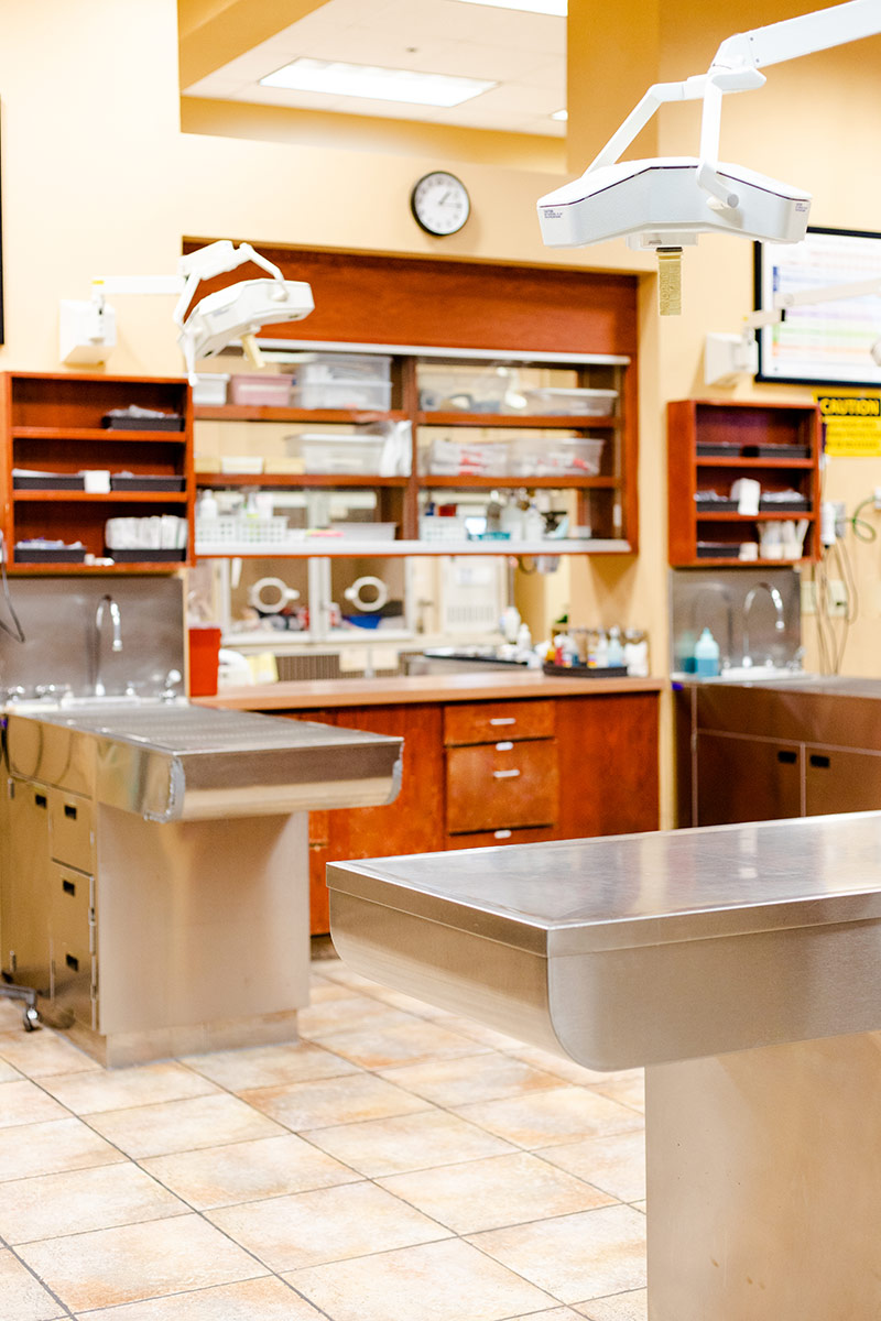 Emergency Animal Hospitals of Collin County treatment room