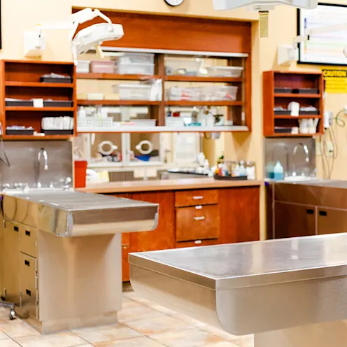 Emergency Animal Hospitals of Collin County treatment room Emergency Animal Hospitals of Collin County treatment room