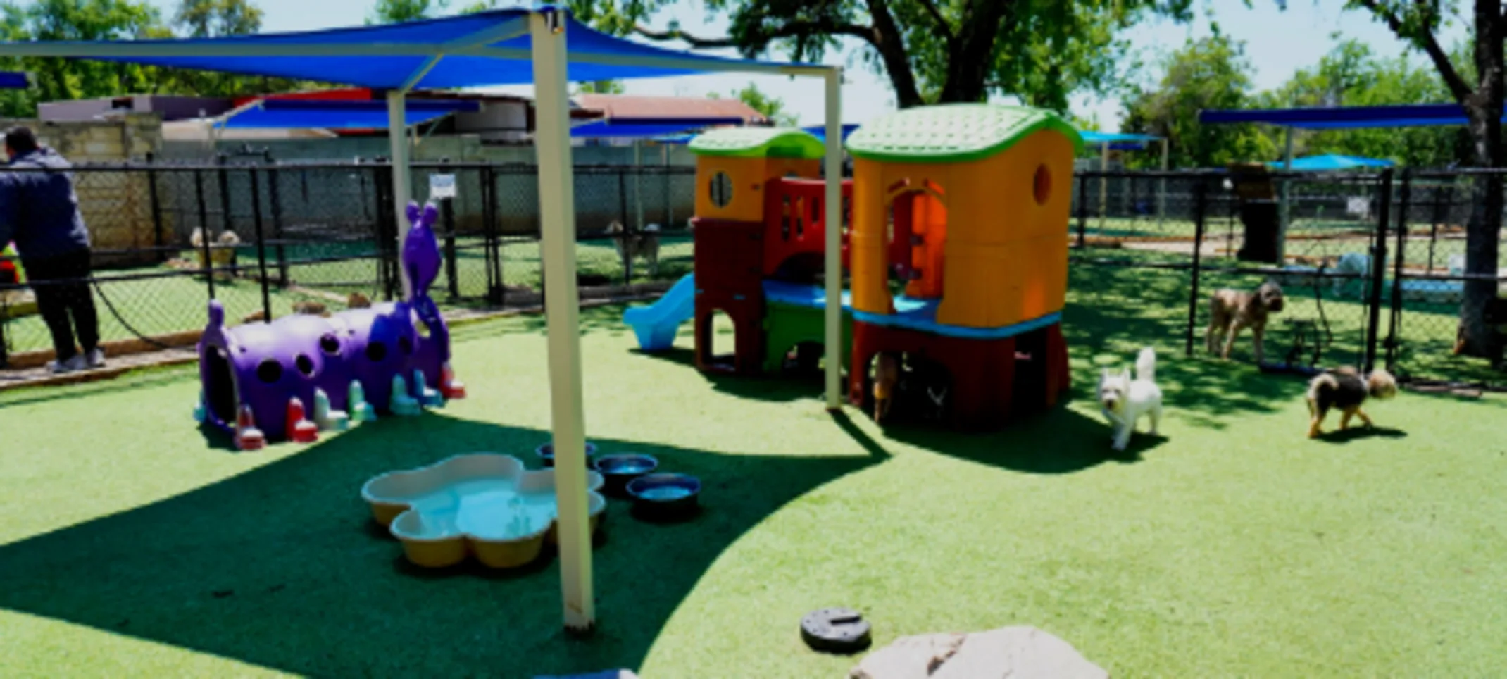 Boarding & Daycare Area at Hill Country Animal Hospital Boarding & Daycare Area at Hill Country Animal Hospital