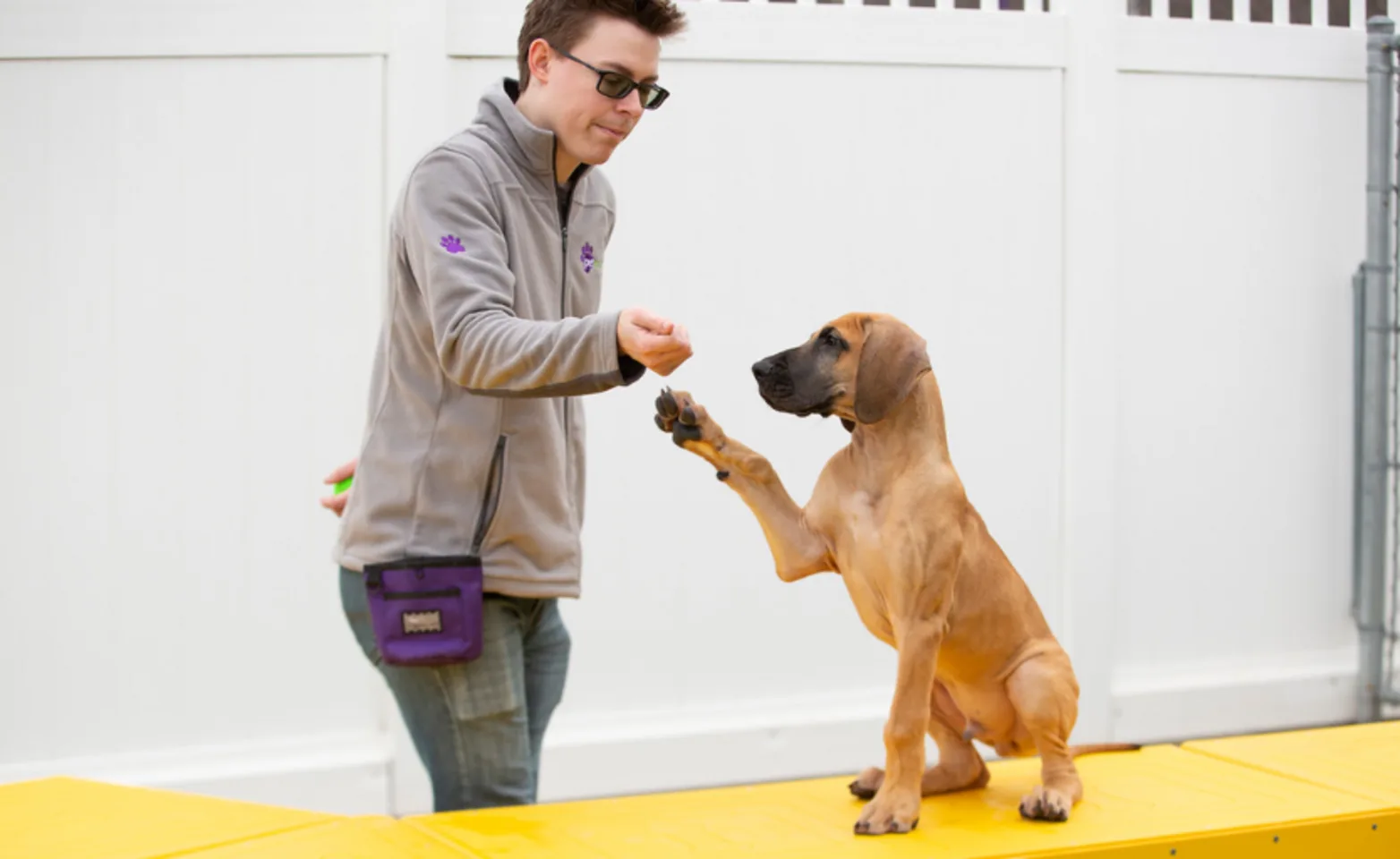 A PetSuites staff member trains a puppy. A PetSuites staff member trains a puppy.