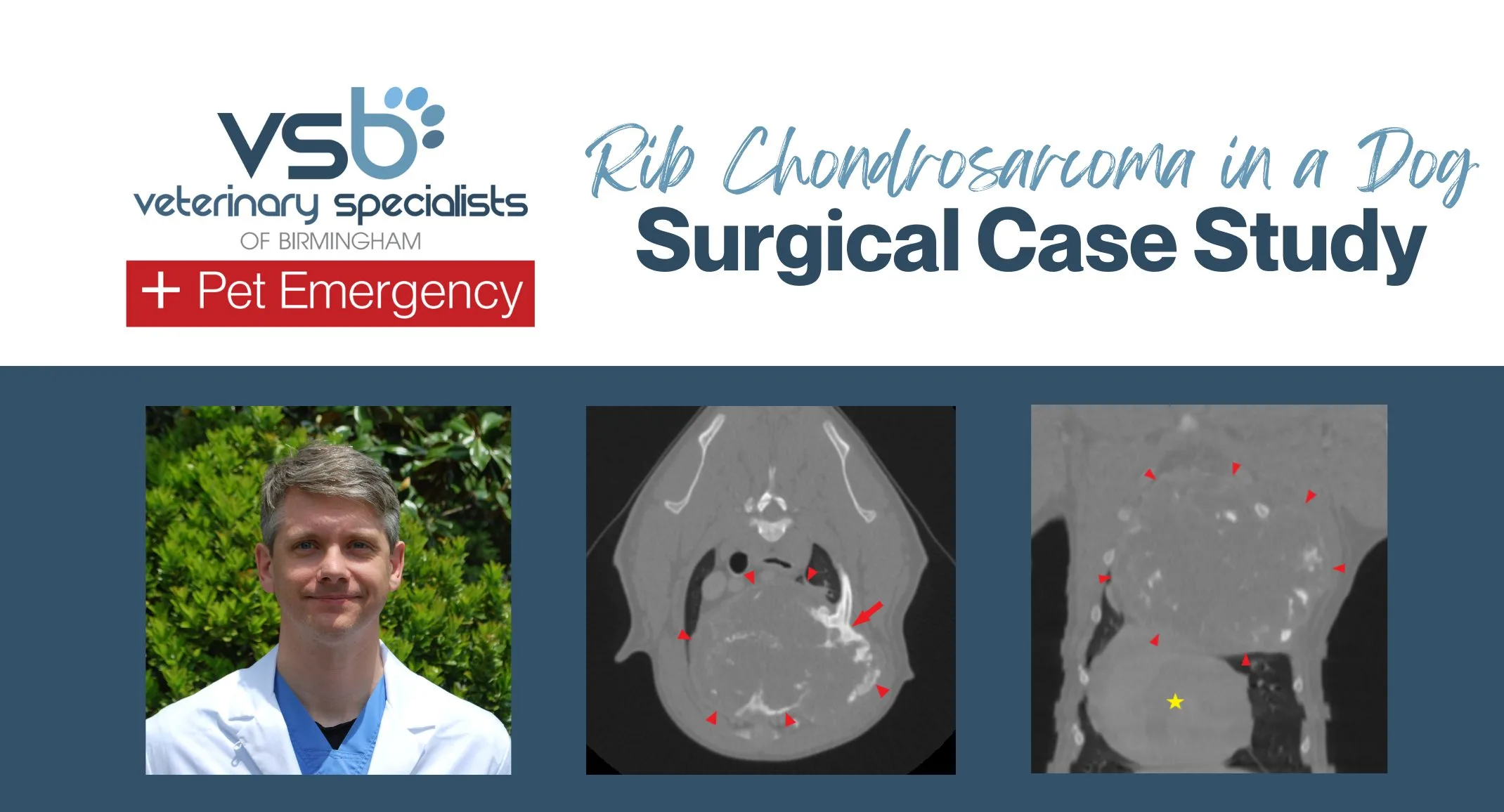 Doctor smiling at camera with adjacent x-rays of a dog's ribcage Doctor smiling at camera with adjacent x-rays of a dog's ribcage