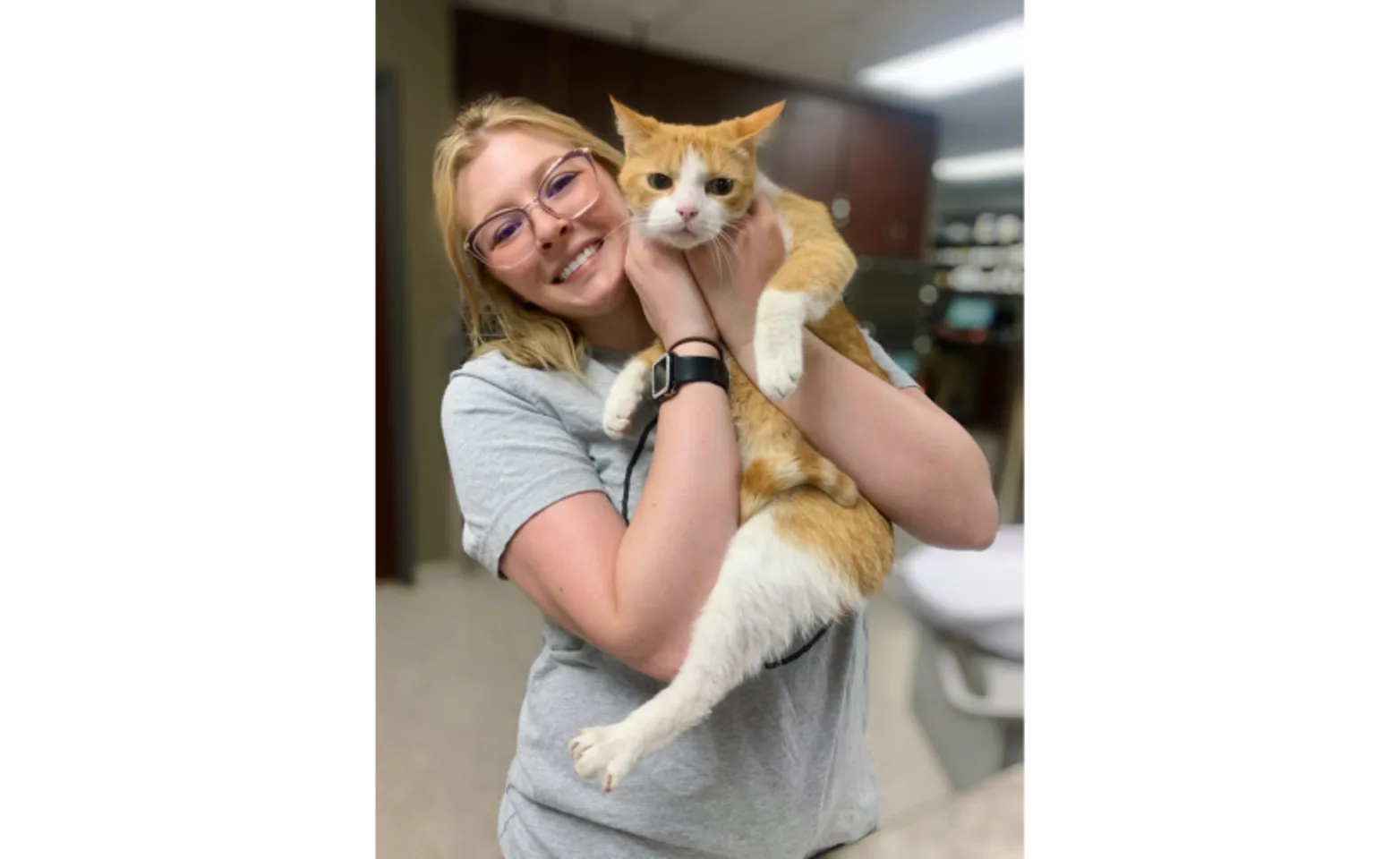 A staff member with a orange cat A staff member with a orange cat