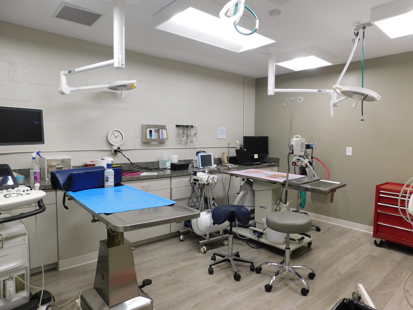 Quail Corners Animal Hospital Dental Suite
