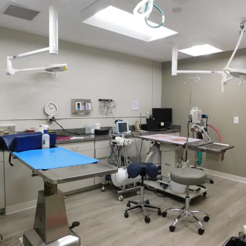 Quail Corners Animal Hospital Dental Suite