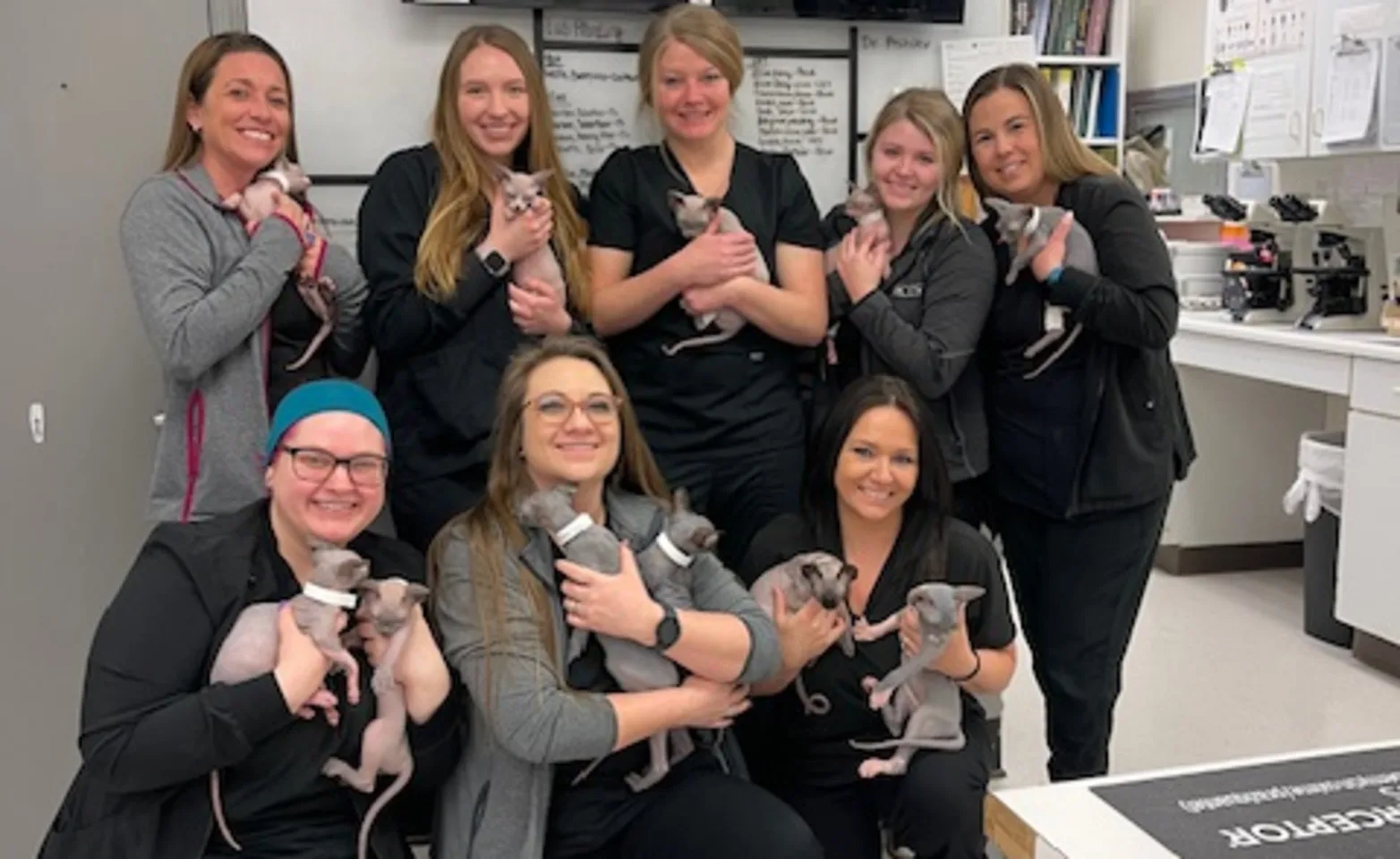 staff holding kittens