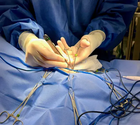 Vets performing a surgical operation Vets performing a surgical operation