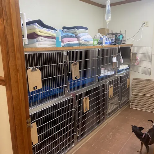 Kennel Area at King's Mountain Animal Clinic Kennel Area at King's Mountain Animal Clinic
