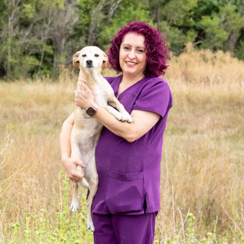 Dr. Sherry Ibrahim Dr. Sherry Ibrahim